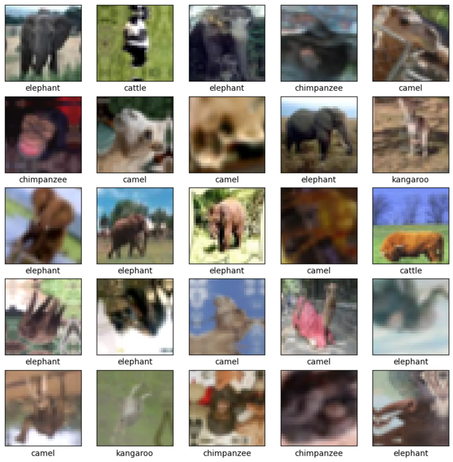 Image for Image Classification of Omnivores and Herbivores using the CIFAR-100 Dataset